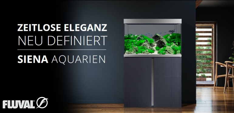 +++++Fluval SIENA Aquarien zum Sonderpreis+++++