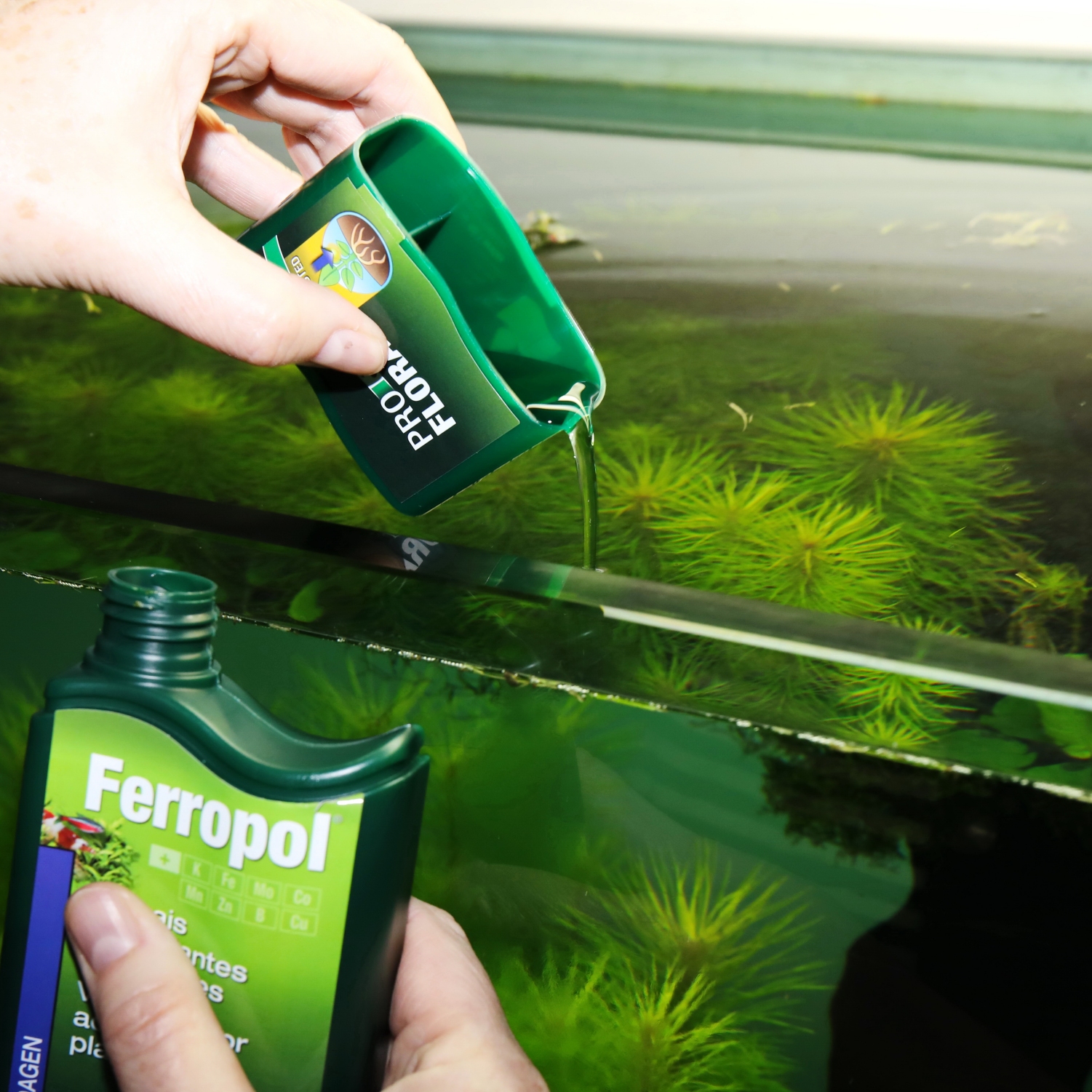 Aquarium Plant Fertilizer: Compare the Best Fertilizers!