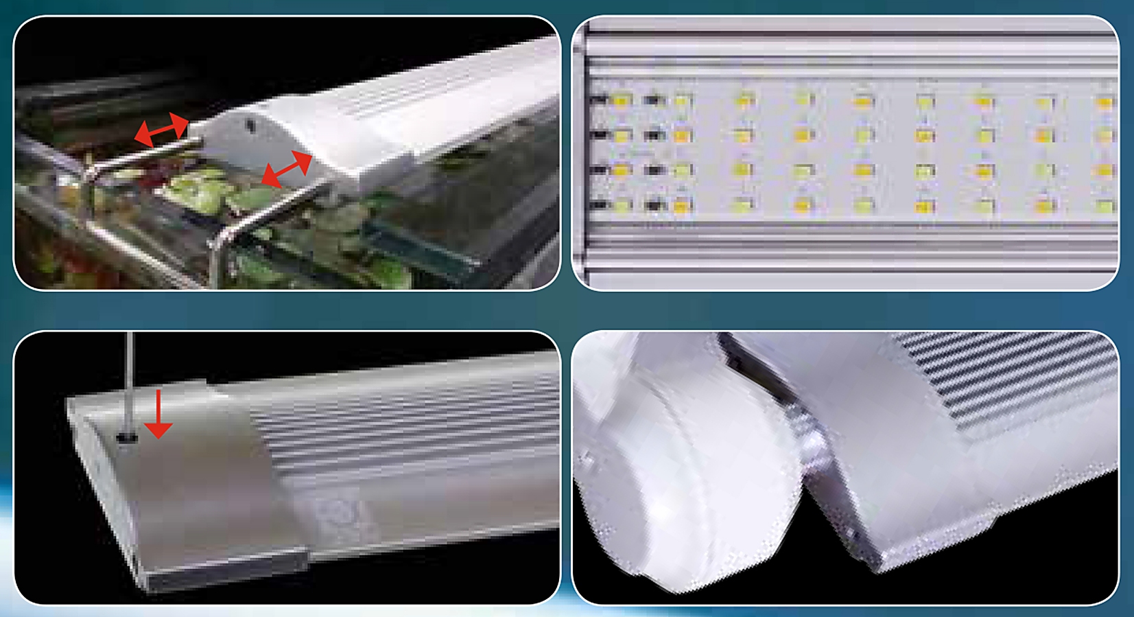 LED Lighting, JBL
