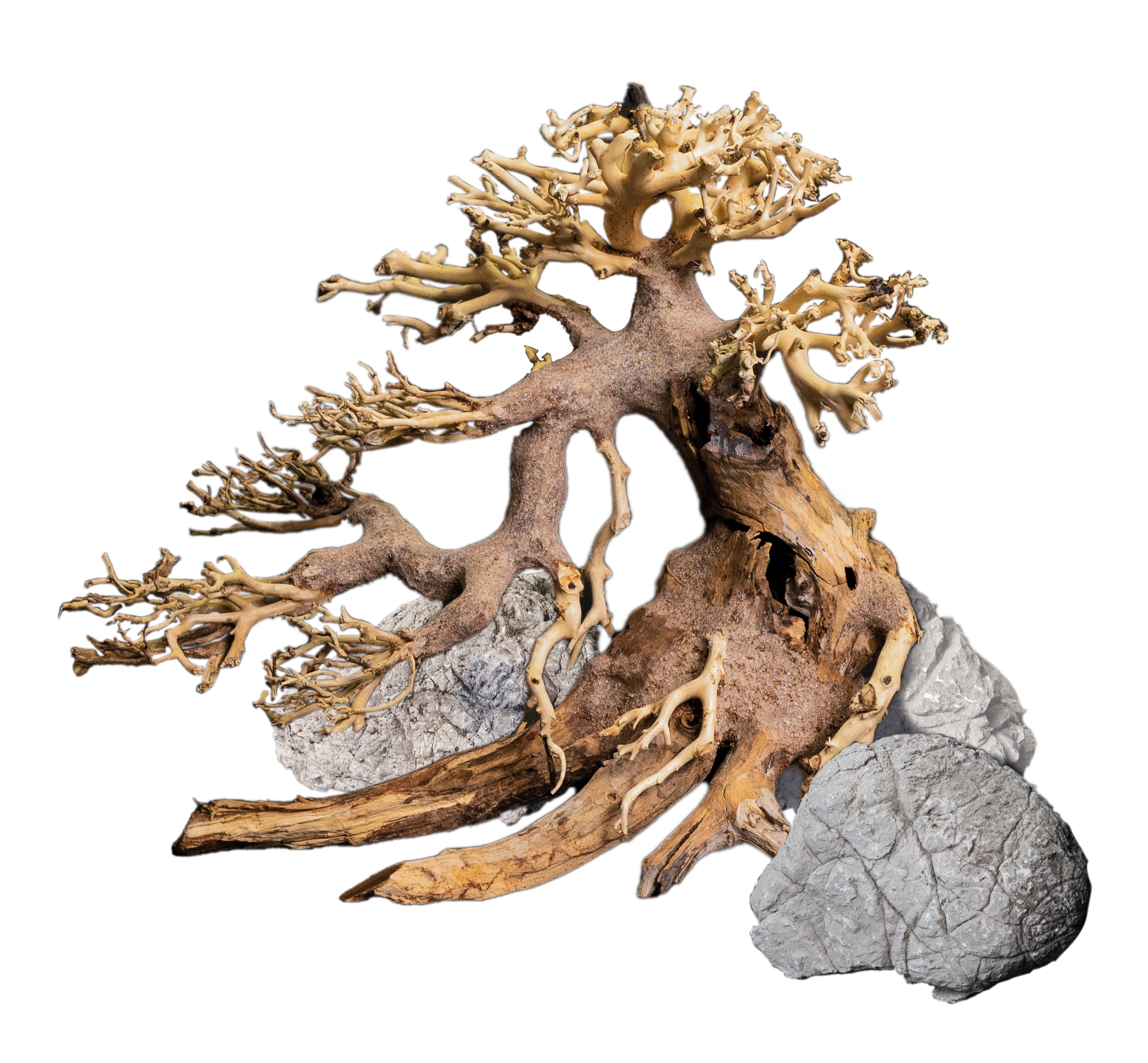 Aquascaping, Hardscape