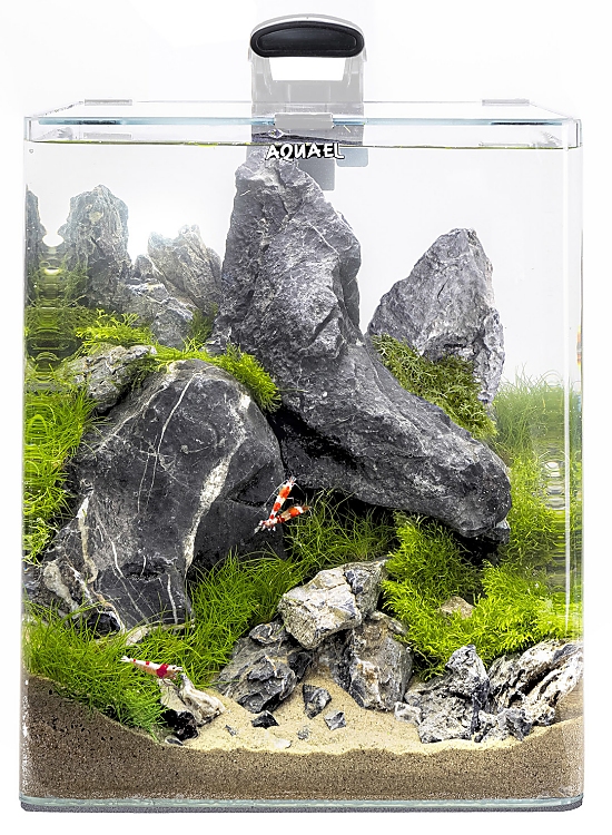 AQUAEL OptiBent Set 30 - Weißglas Nano Aquarium Komplettset