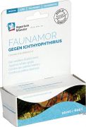 Aquarium Münster Faunamor Aquarium Münster Faunamor